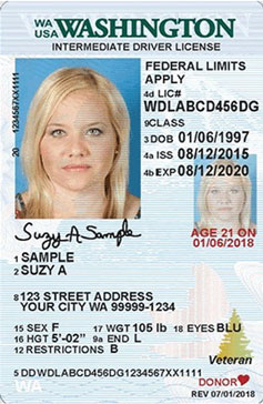 Washington Drivers License for Minors