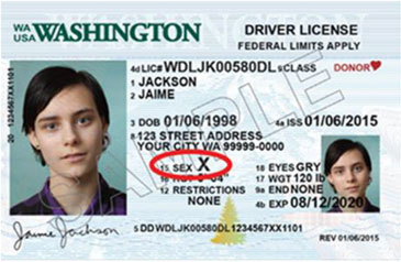 Washington ID Card